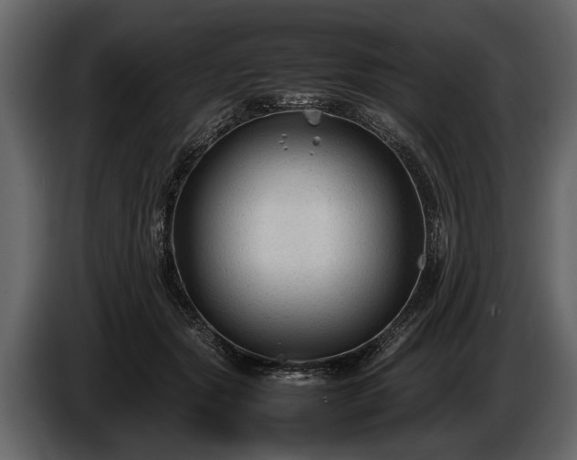 X0000085730557200703231050