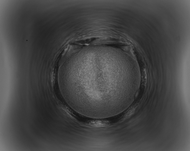 X0000085730558200703231050