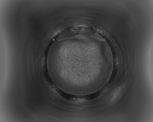 X0000085730559200703231050