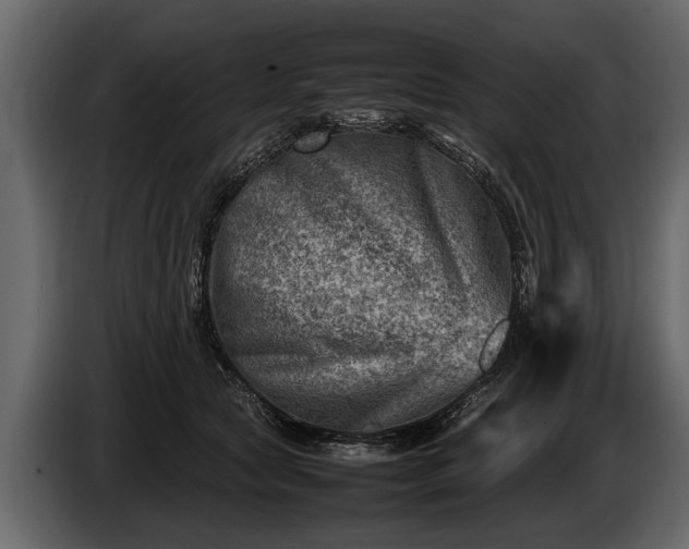 X0000085730561200703231050