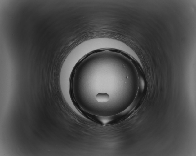 X0000085730566200703231051