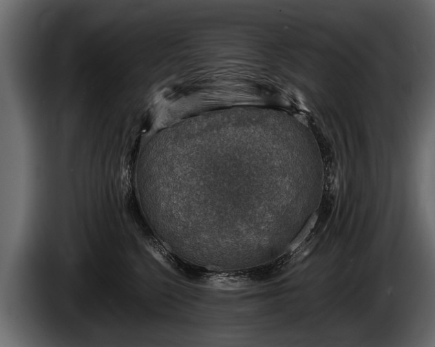 X0000085730568200703231051