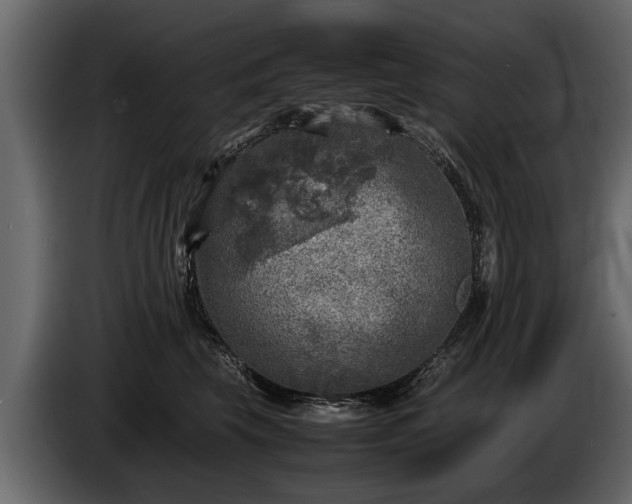 X0000085730569200703231051