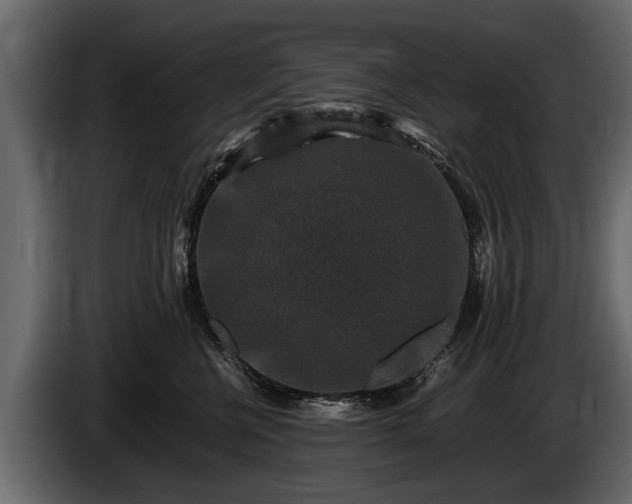 X0000085730570200703231051