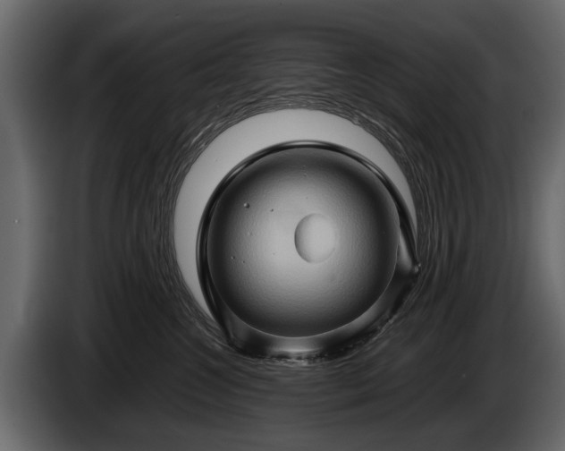 X0000085730572200703231051