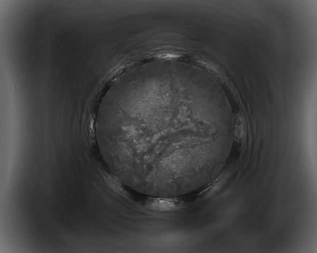 X0000085730573200703231051