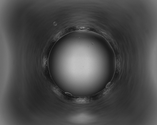 X0000085730574200703231051