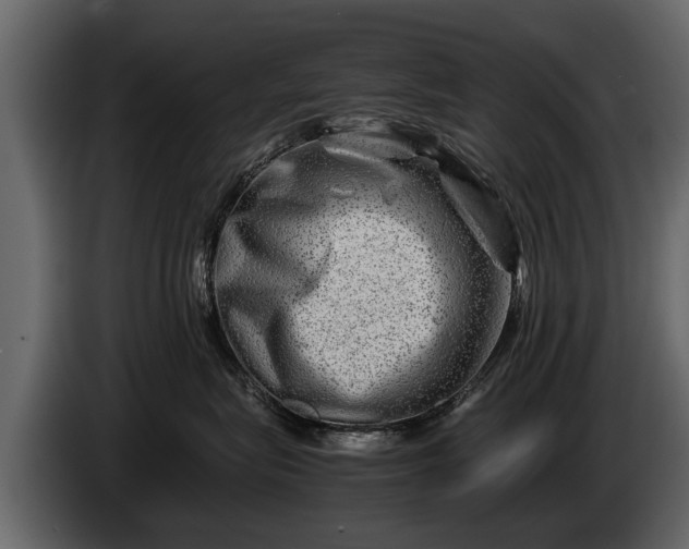 X0000085730575200703231051