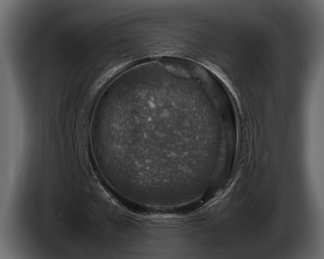 X0000085730577200703231050