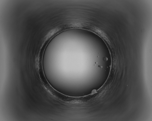 X0000085730578200703231050