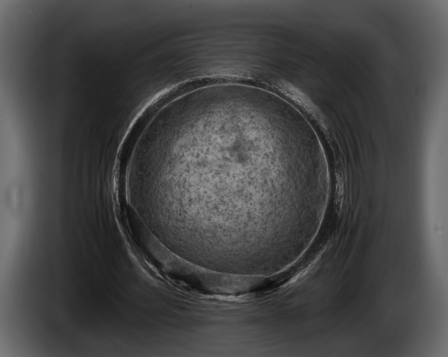 X0000085730580200703231050