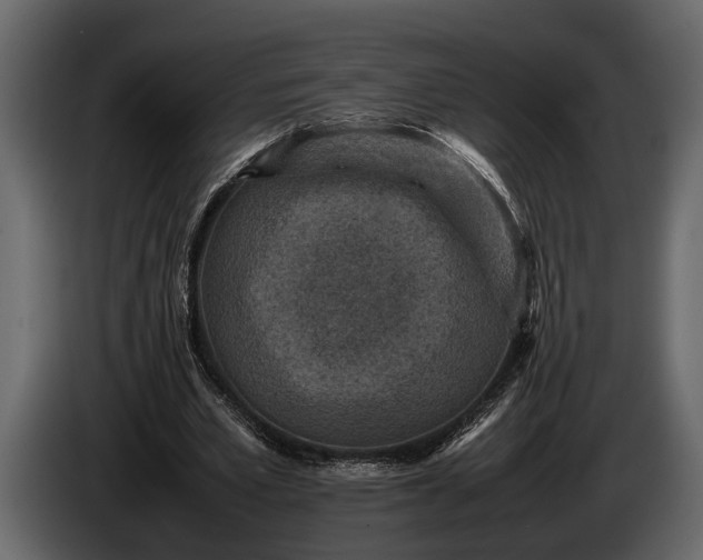 X0000085730581200703231050