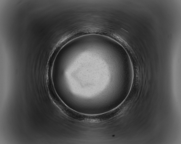 X0000085730582200703231050