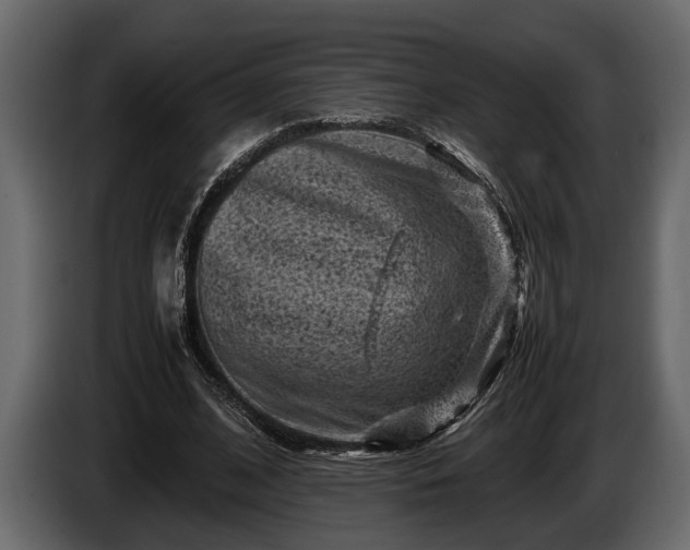 X0000085730584200703231050