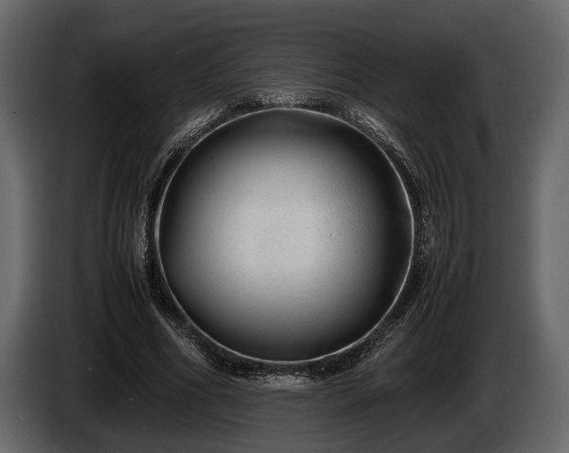 X0000085730586200703231050