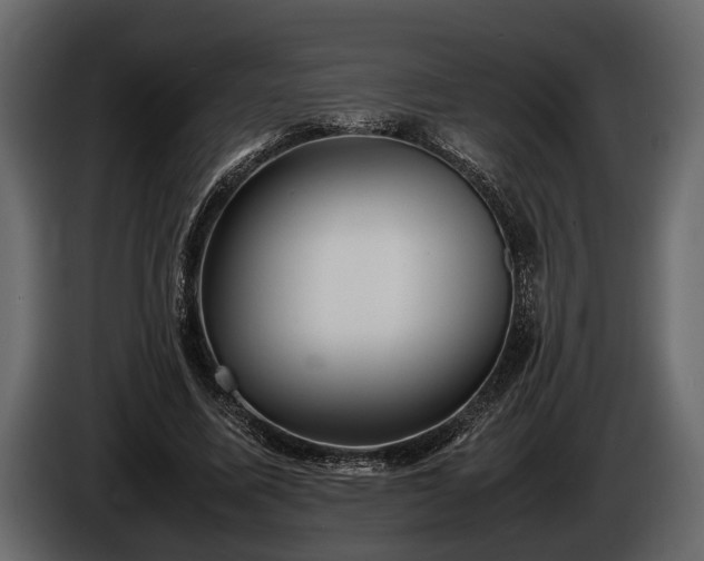 X0000085730587200703231050