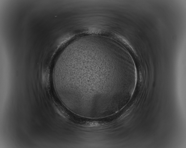 X0000085730588200703231050