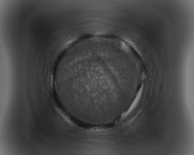 X0000085730589200703231050