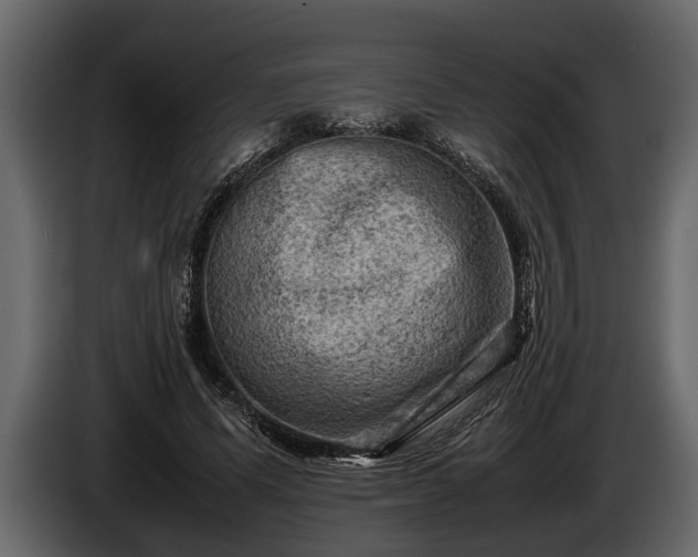 X0000085730591200703231050