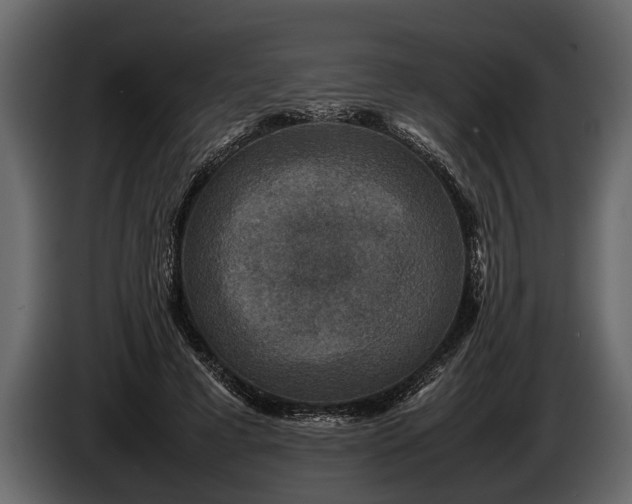 X0000085730593200703231050