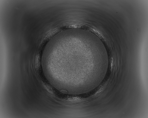 X0000085730594200703231050