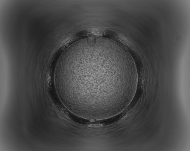 X0000085730595200703231050