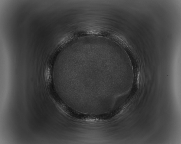 X0000085730598200703231050