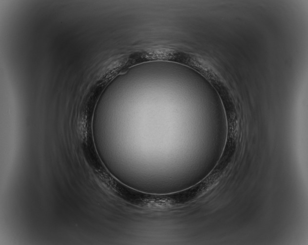 X0000085730599200703231050