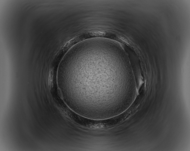 X0000085730600200703231050