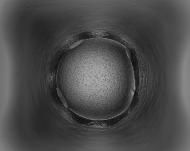 X0000085730601200703231050