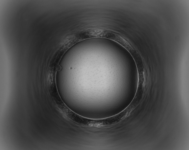 X0000085730602200703231050