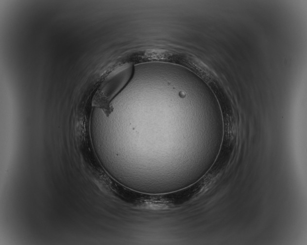 X0000085730603200703231050