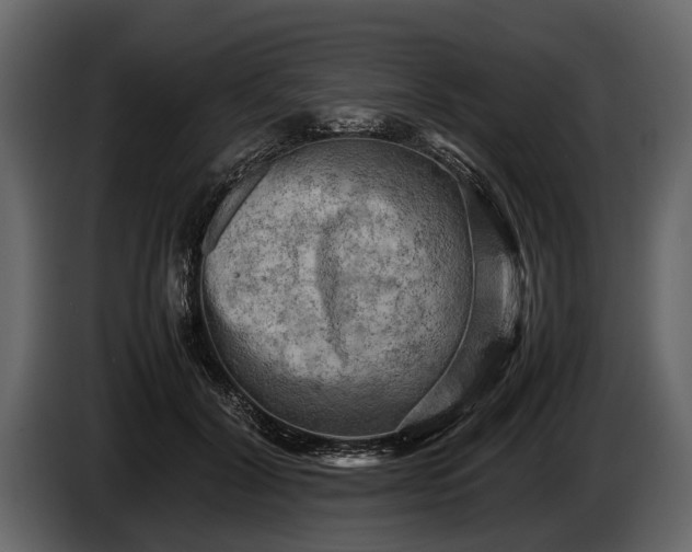 X0000085730604200703231050