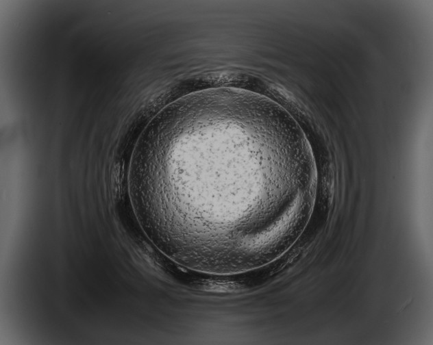 X0000085730605200703231050