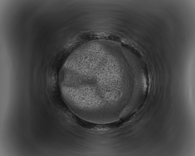 X0000085730608200703231050