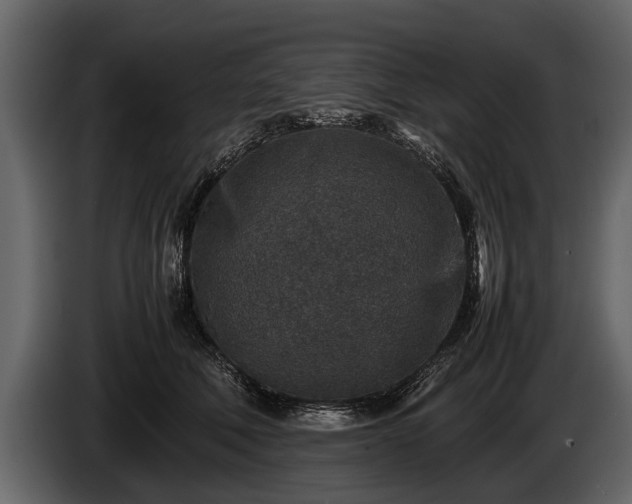 X0000085730610200703231050