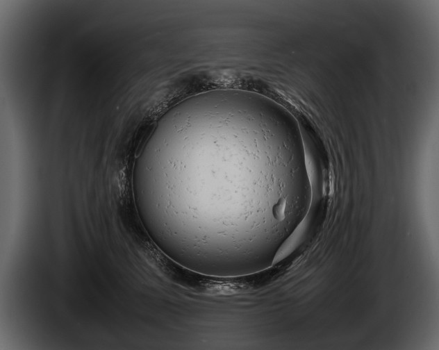 X0000085730611200703231049