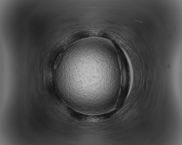 X0000085730613200703231049