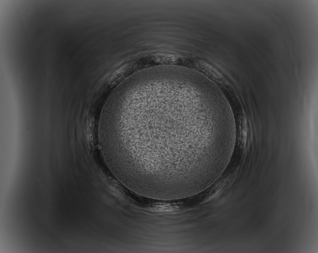 X0000085730616200703231049