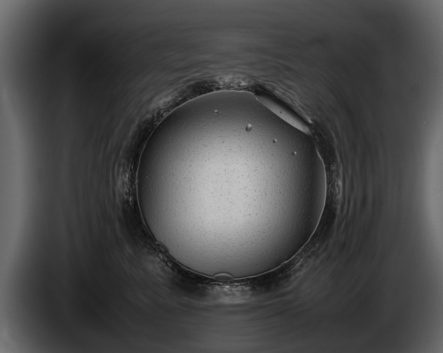 X0000085730619200703231049