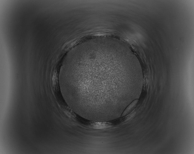 X0000085730623200703231049