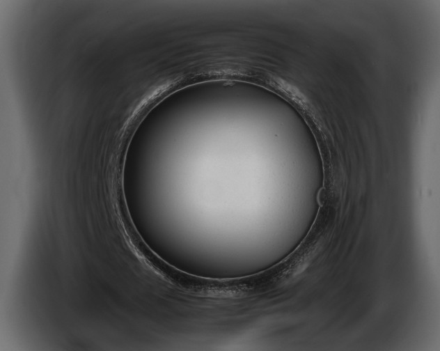 X0000085730625200703231049