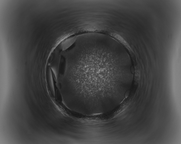 X0000085730626200703231049