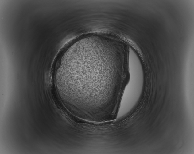 X0000085730628200703231049