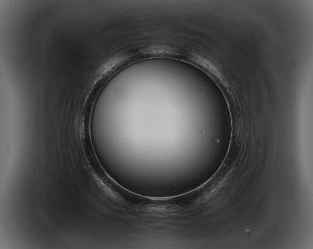 X0000085730629200703231049