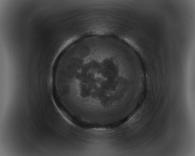 X0000085730630200703231049