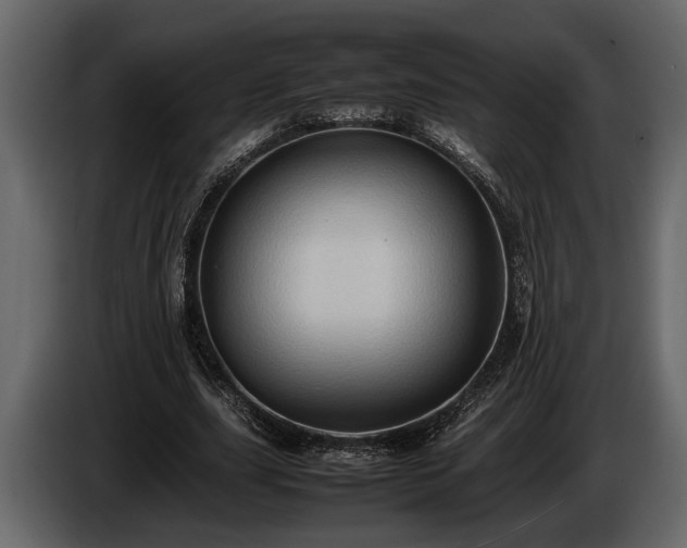 X0000085730631200703231049