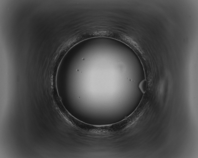 X0000085730633200703231049