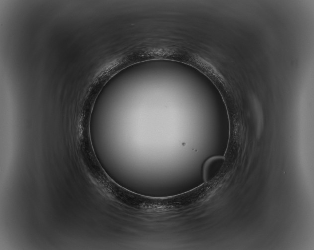 X0000085730635200703231049