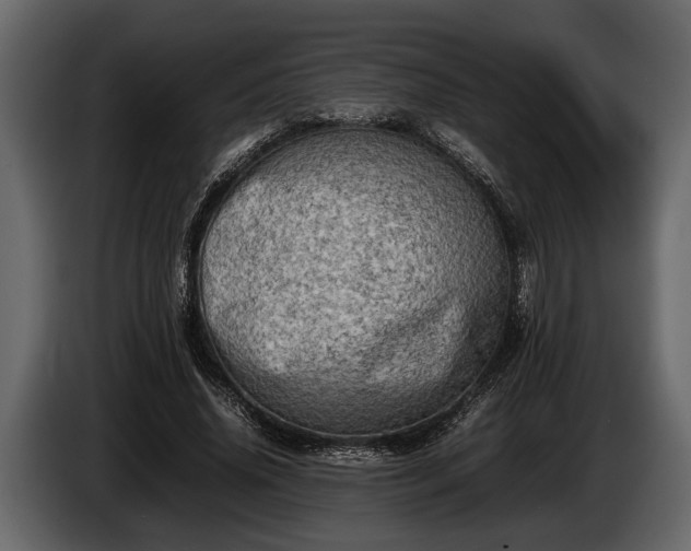 X0000085730636200703231049